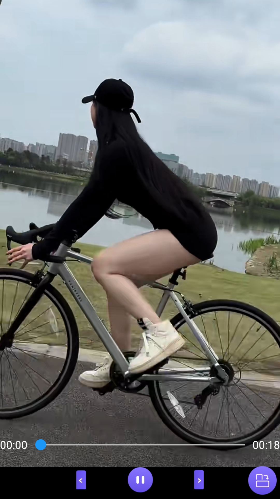 公主的贴身侍卫小说截图